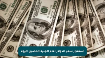 استقرار سعر الدولار أمام الجنيه المصري اليوم